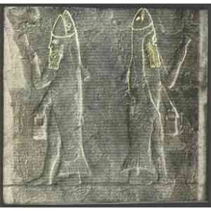 Click para ampliar. Pulsa en el nombre para ver la ficha. Oanes 4